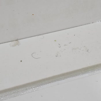 Uçarlar Et'te Hijyen Ve Sinek Sorunu Ciddileşiyor