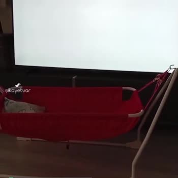 Vestel'in Çözüm Bulamaması