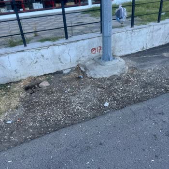 Real Tower İş Merkezi Çevresinde Çöp Ve Alkol Denetimi Talebi