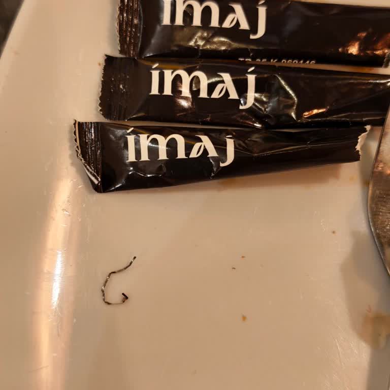 İmaj Fırın & Cafe Böreğin İçinden Bulaşık Teli Çıktı