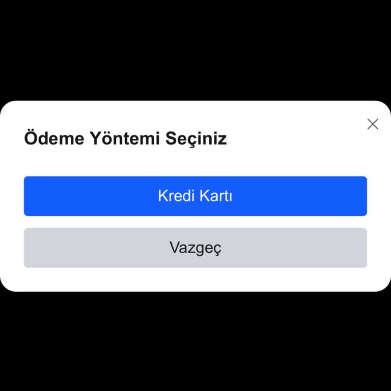 Web Sitesi Ödeme Sayfası Donuyor Ve Kredi Kartı Seçeneği Çalışmıyor