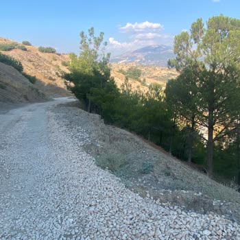 TOKİ Konutları Yolunun Asfalt Eksikliği Ve Araç Hasarı