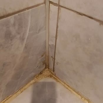 Efe Termal Otel'de Yanlış Oda, Yetersiz Yemek Ve Hijyen Sorunları