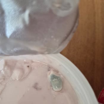 Son Kullanma Tarihi Geçmemiş Ürün Küflü Çıktı Sağlık Riski Ve Güven Sarsıntısı