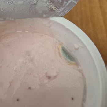 Son Kullanma Tarihi Geçmemiş Ürün Küflü Çıktı Sağlık Riski Ve Güven Sarsıntısı