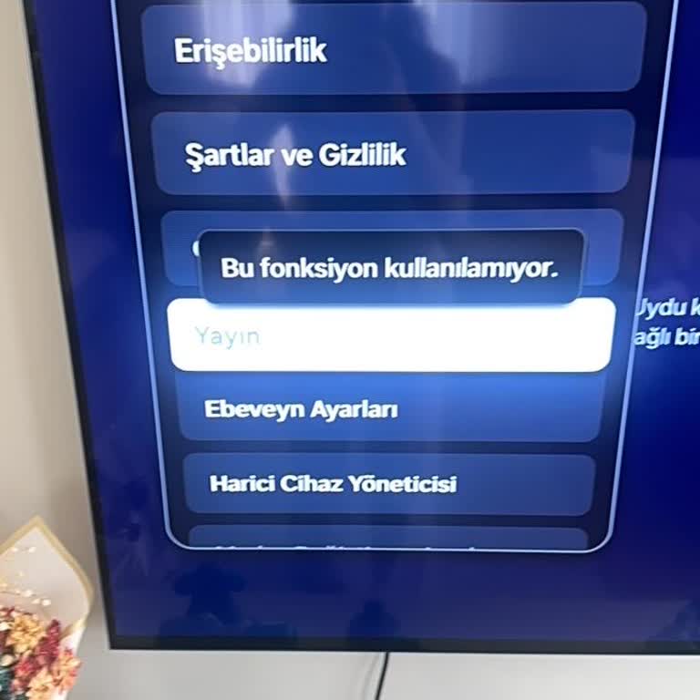 Yayın Menüsü Pasif Olduğu İçin Kanal Kurulumu Yapılamıyor
