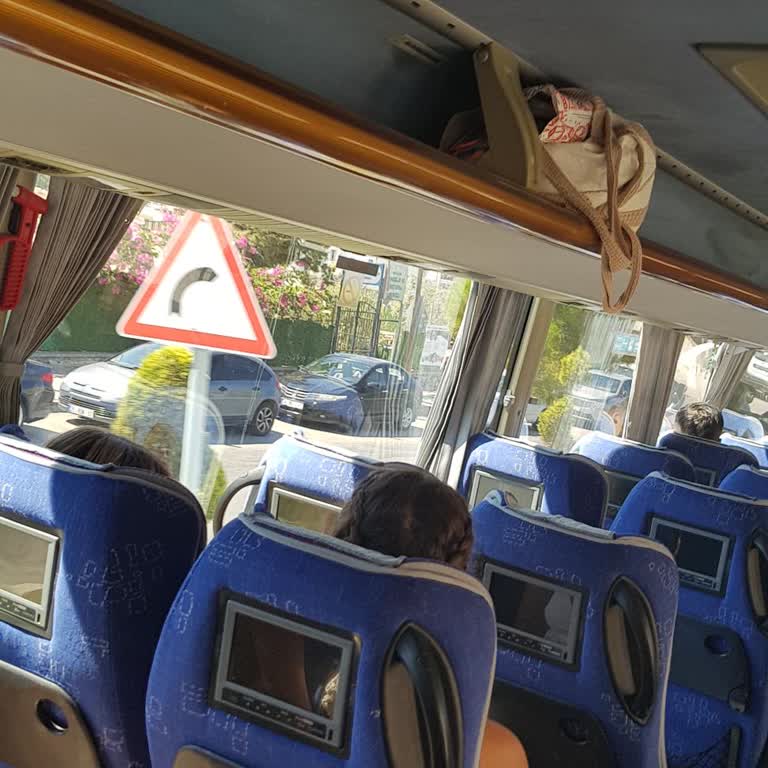 Çeşme Seyahat’te Köpek Taşınması Fobik Ve Alerjik Yolculara Saygısızlık