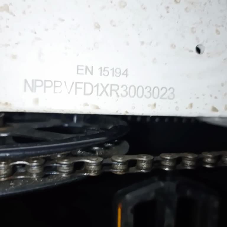 Volta V1 Bisikletimde Beyin Arızası, Servisin Uzun Süreli Yanıtsızlığı