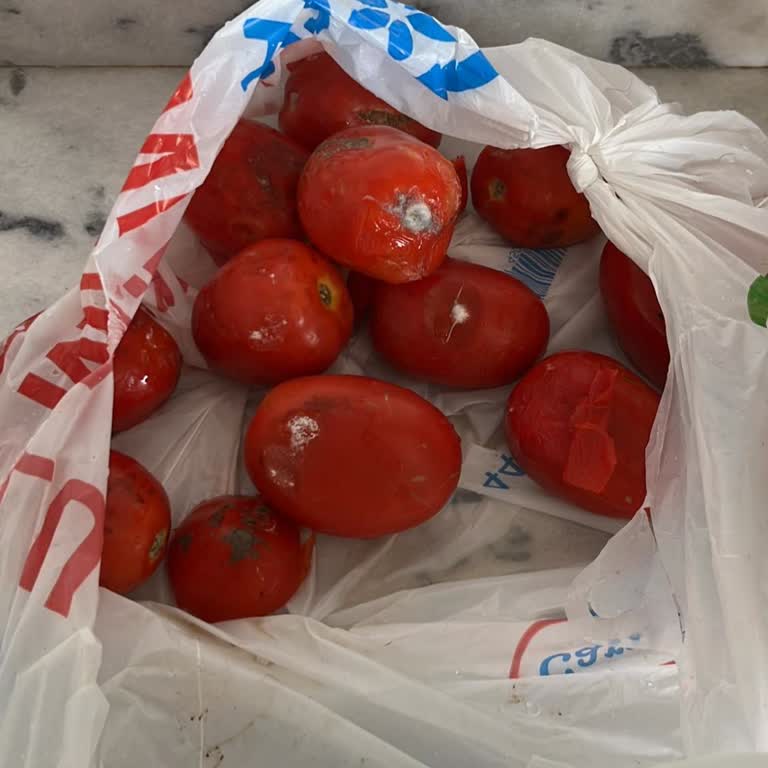 Carrefour Online Siparişimde Çürük Domatesler Teslim Edildi