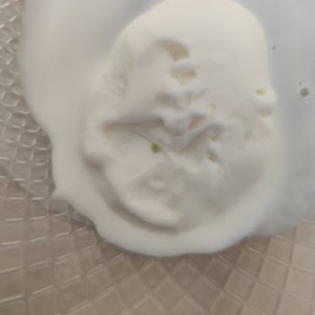 Karpedo Dondurmadan Kıl Çıktı