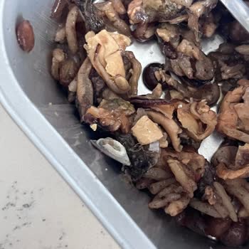 Midyeli Pilavda Midye Kabuğu Bulunması