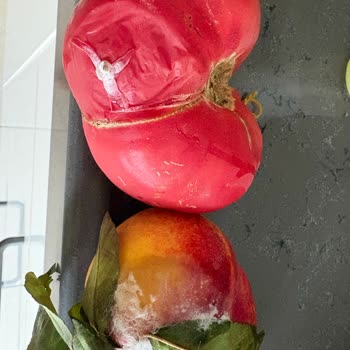 Eki aç