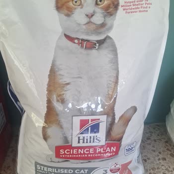 Eki aç