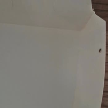 McDonald's Siparişinde Sinek Bulunması Ve Hijyen Sorunu