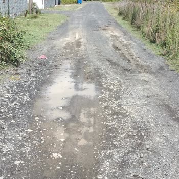 Samsun Çarşamba Hürriyet Mahallesi Asfalt Eksikliği Ve Orman Parkı Bakımsızlığına Çözüm Bekleniyor