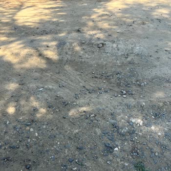 Eki aç