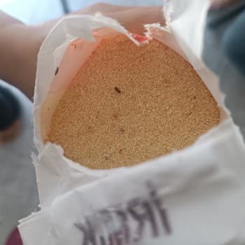 BİM Yazgan İrmik’te Yaygın Kurt Ve Böcek Kontaminasyonu