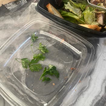 Burger Tower'da Hamile Eşime Metal Yabancı Madde İçeren Salata Ve Hijyen Skandalı