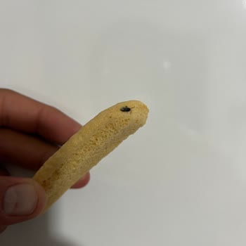 Migros’ta Satın Alınan Kedi Dili Bisküvisinde Böcek Bulunması Sağlık Riskine Neden Oldu