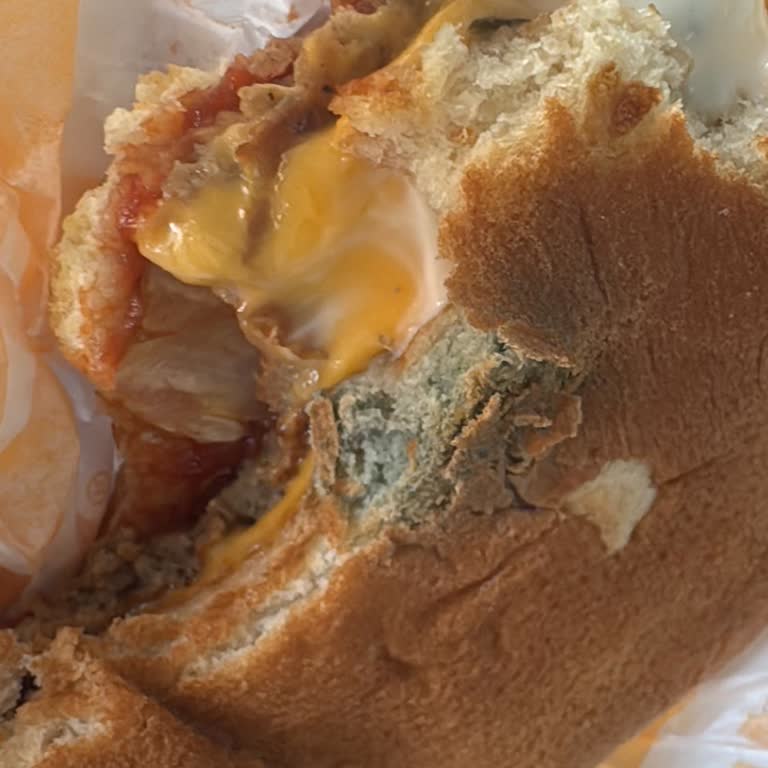 Küflü Hamburger Tüketiminden Mide Bulantısı Ve İshal