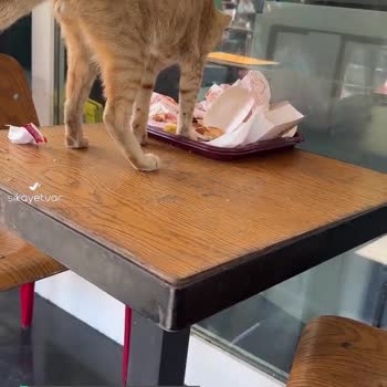 Burger King Restoranında Hijyenden Eser Yok!