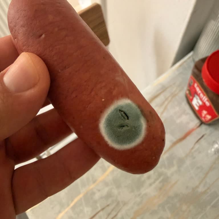 Küflü Sucukta Sağlık Riski Ve Markaya Güvenin Sarsılması