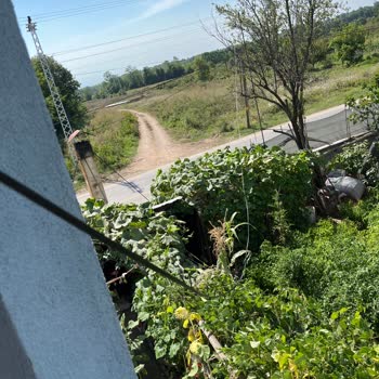 Kablonun Kesilmesi Nedeniyle İnternet Kesintisi Ve 12 Günlük Yanıtsızlık