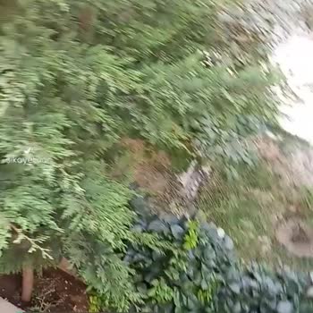 TurkNet İzin Almadan Kablo Çekmiş!