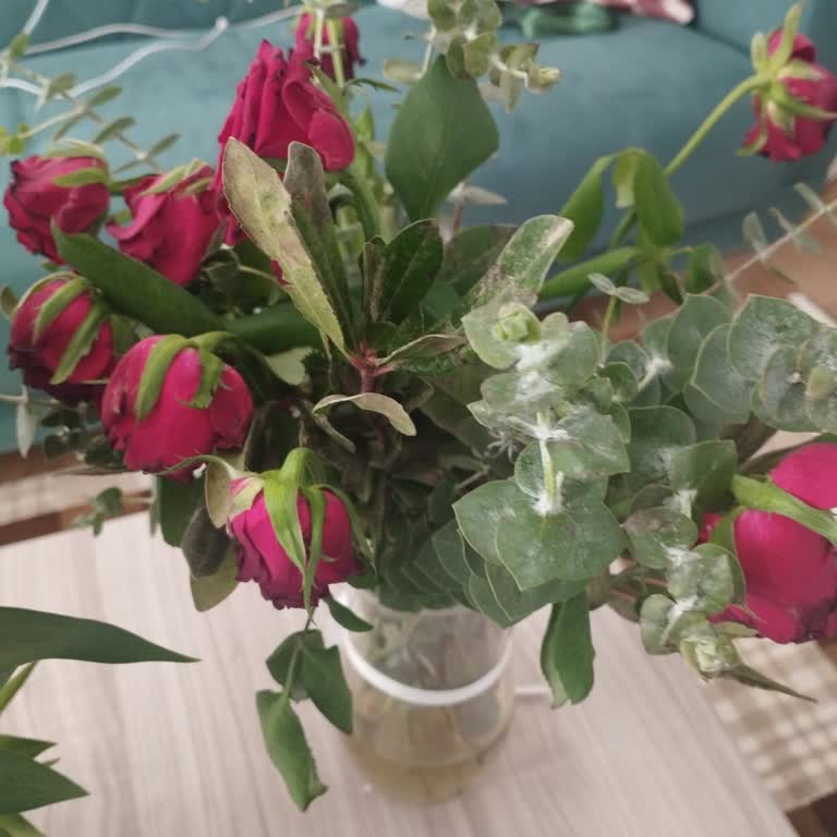 Çiçek Markette Özensiz Çiçek Ve Kötü Kokulu Bitki