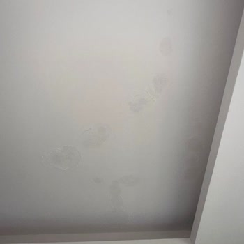 Demir İnşaat (İzmir) Menemen Seyrek Projesinde Su Sızıntısı, Elektrik Ve Asansör Arızaları