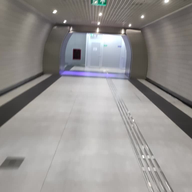 İstanbul Havalimanı Metro Hattında Yabancı Yolculara Para Teklifleri Ve Bayrak Satışı