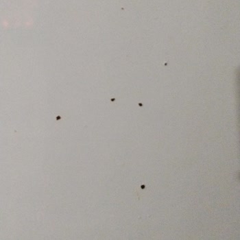Vestel Buzdolabının Kapak Çürümesi Ve Gövde Paslanması Garanti Kapsamında Çözülmedi