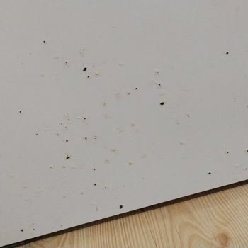 Vestel Buzdolabının Kapak Çürümesi Ve Gövde Paslanması Garanti Kapsamında Çözülmedi