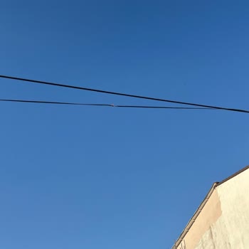 Kablo Kesilerek Sokağa Atıldı, İnternet Hizmetim Kesildi Ve Güvenlik Riski Oluştu