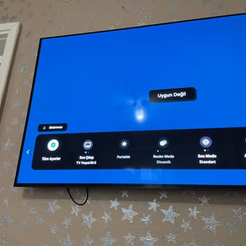 Ayar Menüsüne Erişemiyorum: Samsung Oled55 Televizyonunda Uygun Değil Hatası, Müşteri Hizmetleri