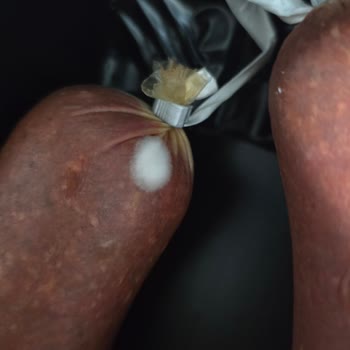 A101'de Satılan Küflü Üstad Sucuk İçin Gıda Güvenliği Şikayeti