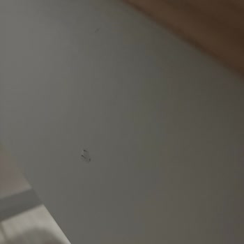Fabrika Kusurlu Koltuk Ve Montaj Hatalarıyla İlgili Acil Çözüm Talebi