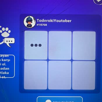 Değerli Petlerim Çalındı, Hızlı Hesap İncelemesi Ve İade Talebi