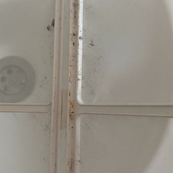Servisten Kirli Ve Paslı Dönen Kurutma Makinesi: Haksız Kullanıcı Suçu İddiası