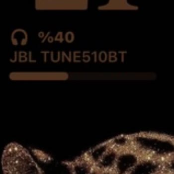 JBL Tune 510BT Şarj Sorunu Ve Garanti Onarım Talebi