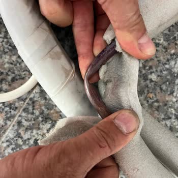 Daikin Yönlendirdiği Servisin Hatası Borularda Hasara Ve Gaz Kaçağı, Ekstra Ücret Talebiyle Mağdur