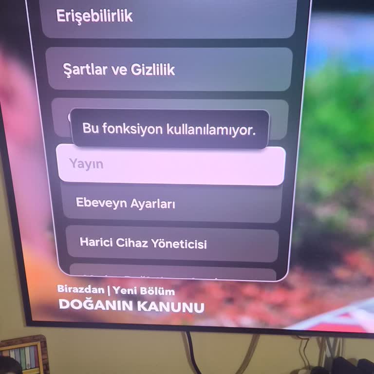 Samsung TV'de Yayın Fonksiyonu Çalışmıyor Ve Destek Yanıtsız