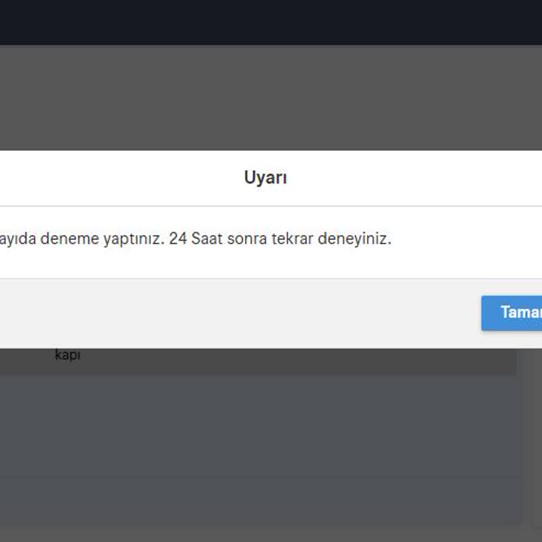 Sahibinden İlan Veremiyorum, 24 Saat Sonra Tekrar Denemem Gerekiyor
