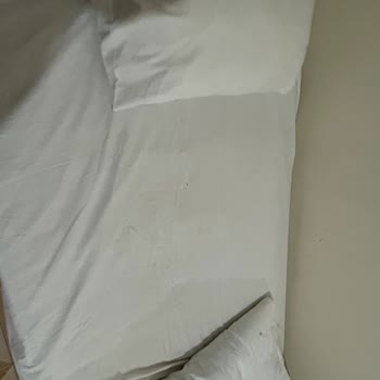 Hijyen Ve Oda Koşulları İle Ücretlendirme Sorunu İçin İade Talebi