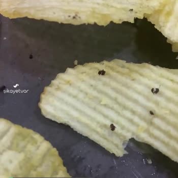 Ruffles Paketin İçinden Yüzlerce Karınca Çıktı