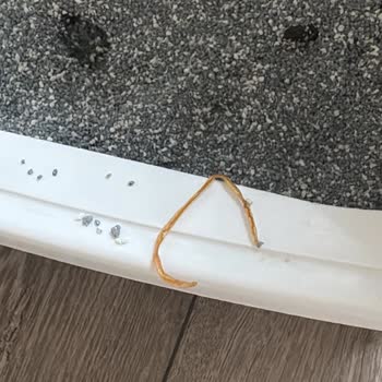Veteriner Kliniğinde Yetersiz Muayene Ve Yanlış Tedavi Sonucu Kediler Hayatını Kaybetti