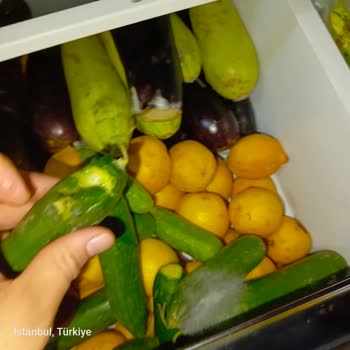 Arçelik Buzdolabının Ana Kart Arızası Nedeniyle Gıdaların Bozulması