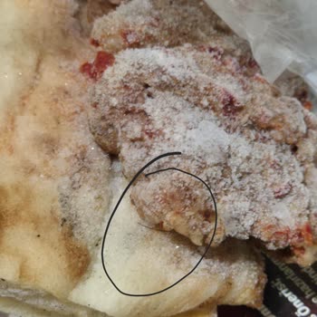 Hazır Kebap Ürünün İçinde Kıl Bulunması Gıda Güvenliğini Tehdit Ediyor