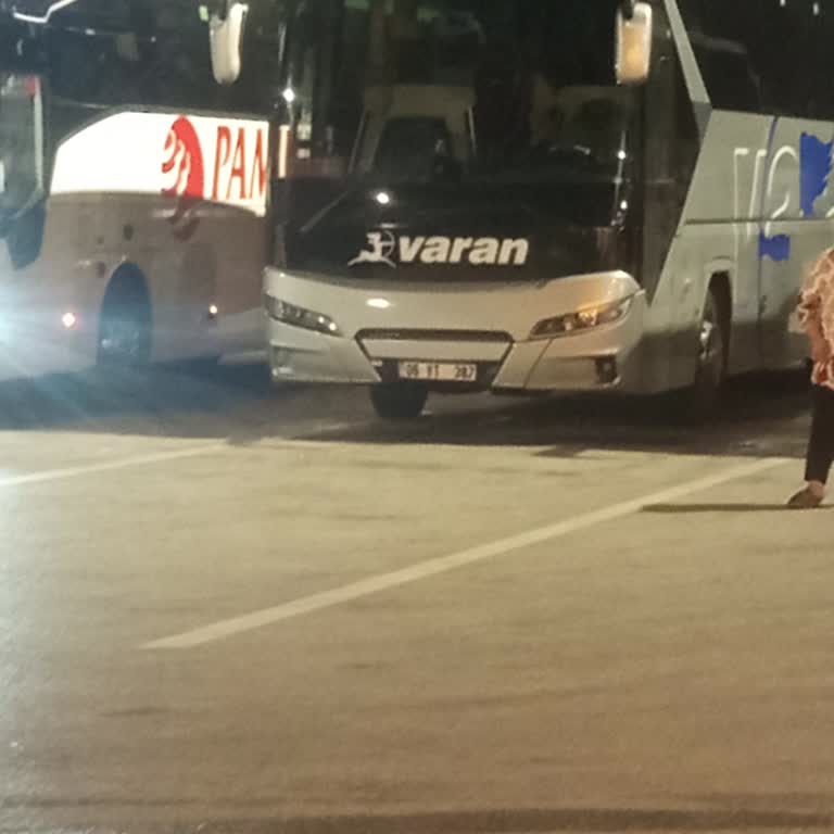Otobüste Hamam Böcekleri Ve Sert Muavin Tutumu Şikayet Edildi