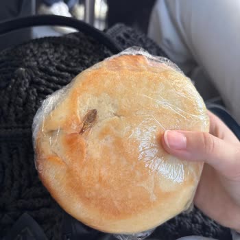 Halil İnalcık Kız Yurdu Sandviçi Tam Isırmak Üzereyken Ekmeğin İçinde Böcek Olduğunu Fark Ettim